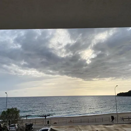 Mediterranean *